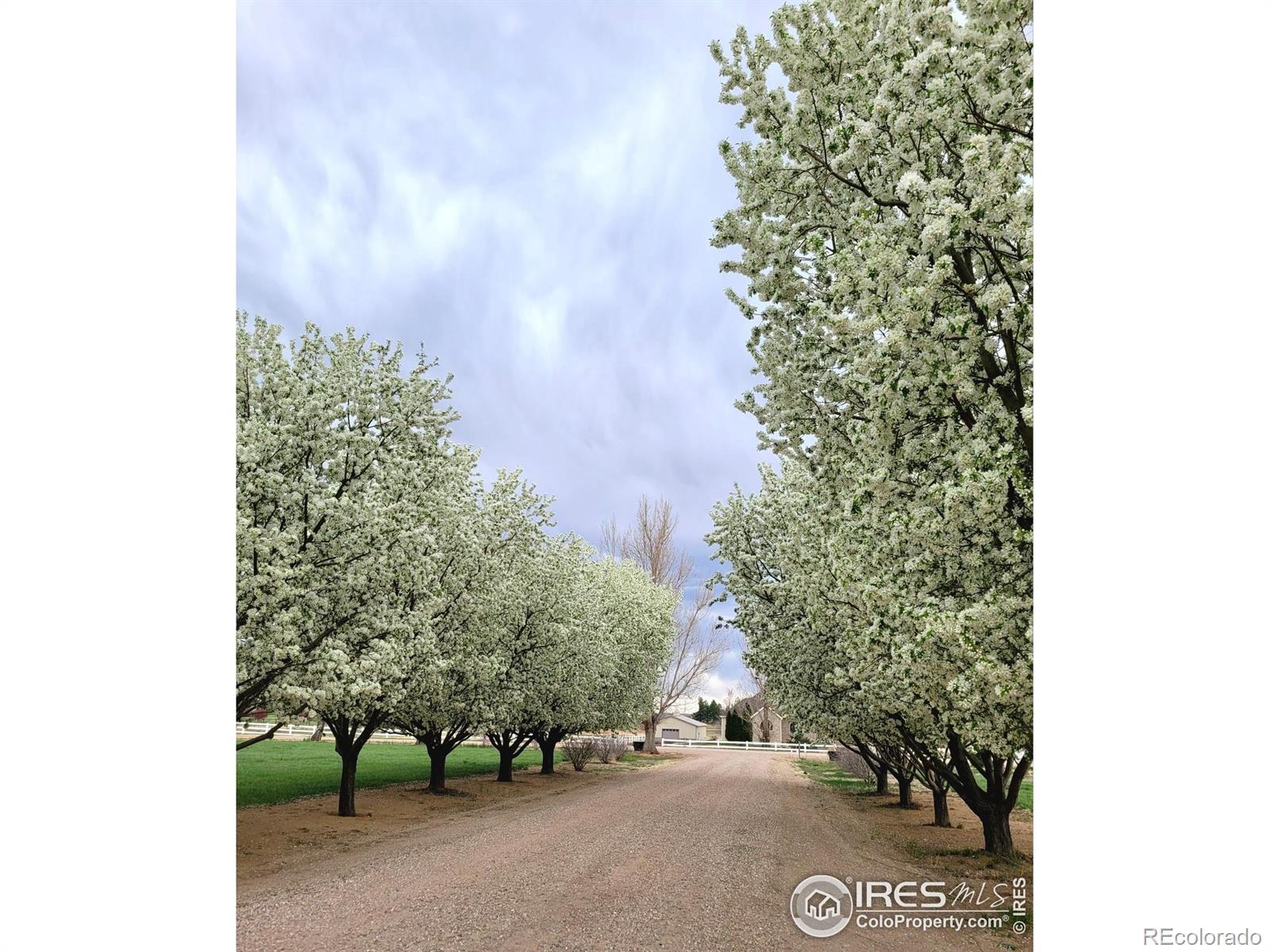 MLS Image #5 for 8943  gander valley lane,windsor, Colorado