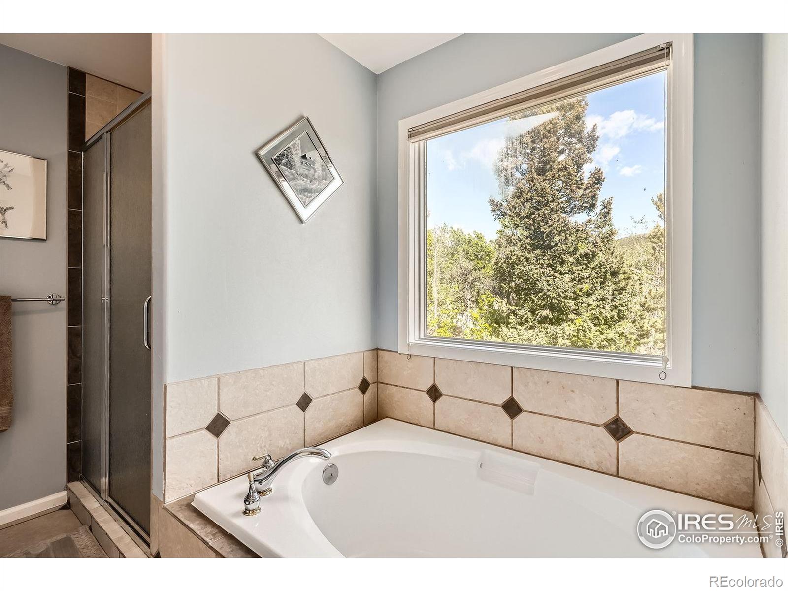 MLS Image #16 for 557  highpoint circle,black hawk, Colorado