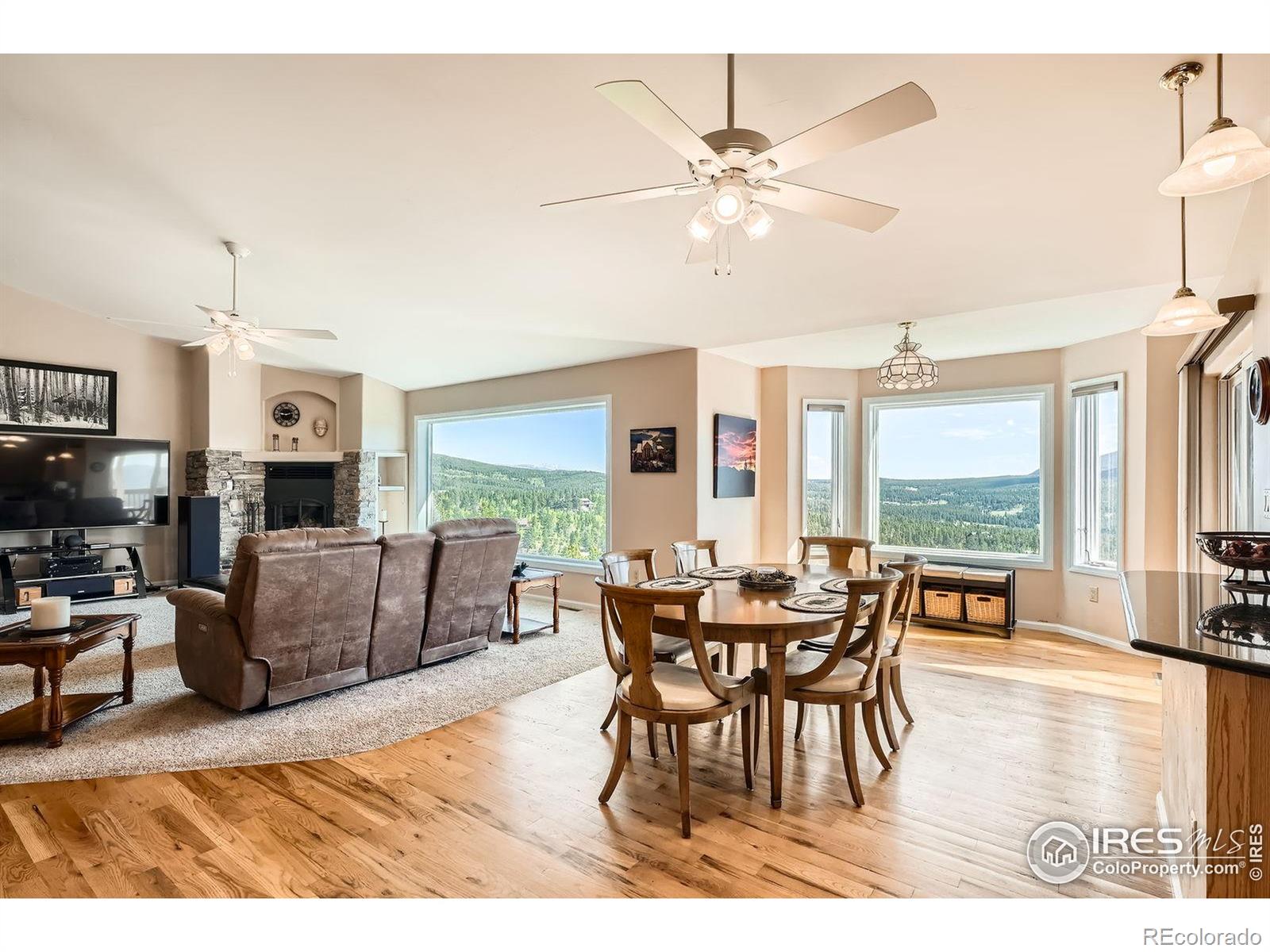 MLS Image #7 for 557  highpoint circle,black hawk, Colorado
