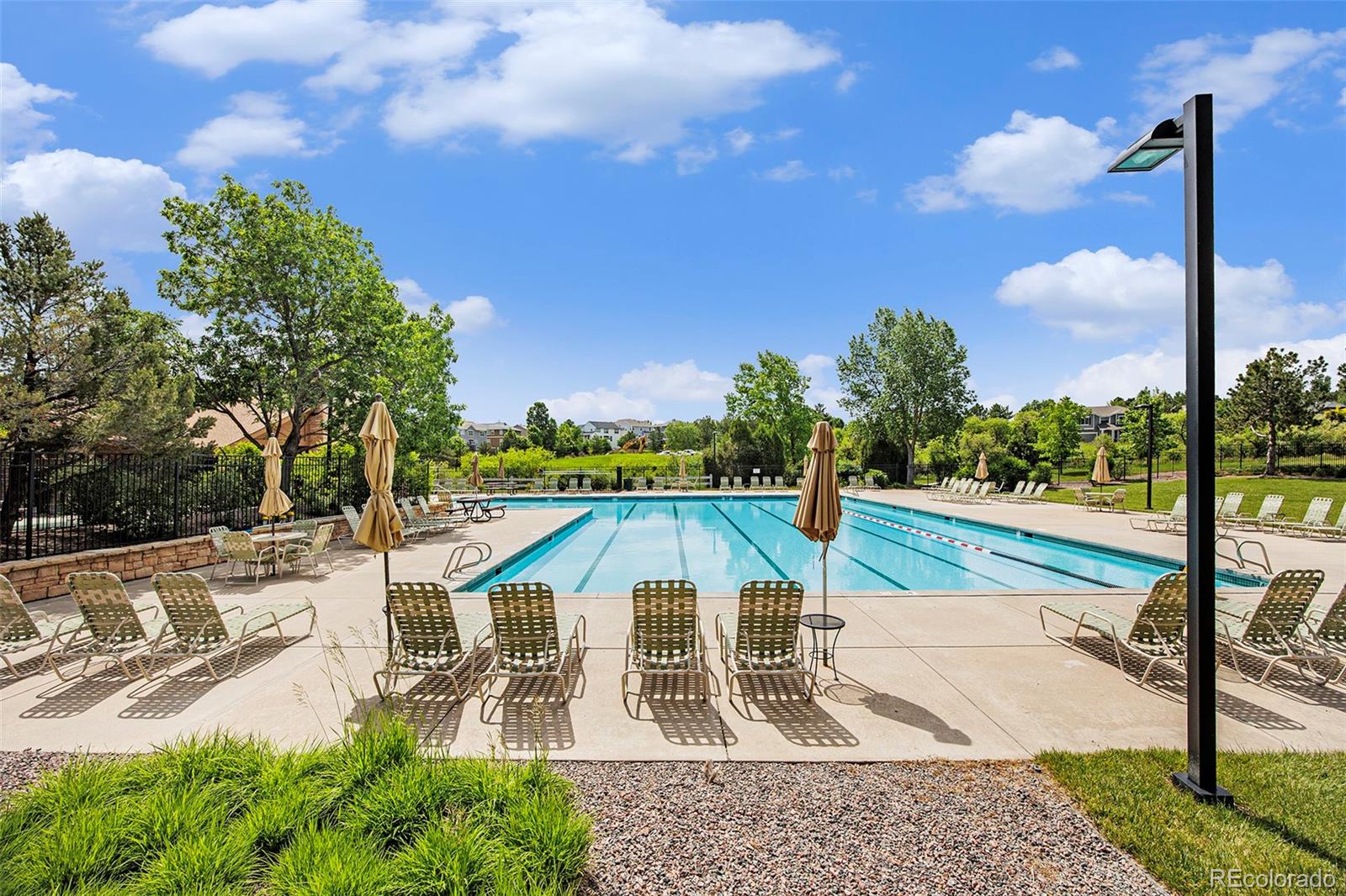 MLS Image #40 for 7410  winter berry lane,castle pines, Colorado