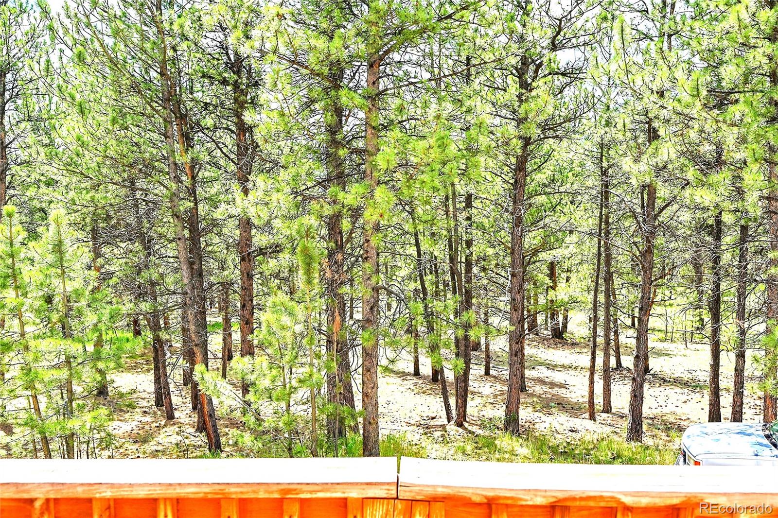 MLS Image #27 for 56  bounty hunter lane,bailey, Colorado