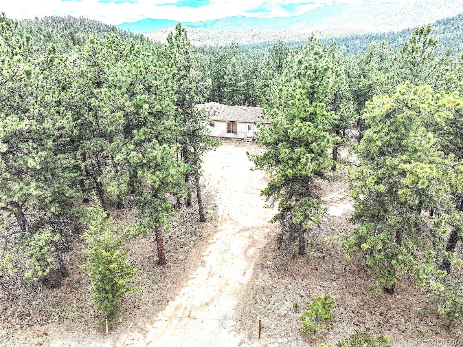 MLS Image #32 for 56  bounty hunter lane,bailey, Colorado