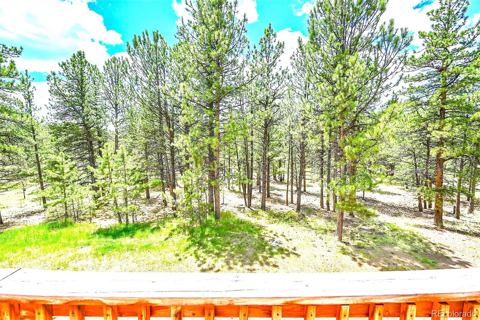 MLS Image #4 for 56  bounty hunter lane,bailey, Colorado