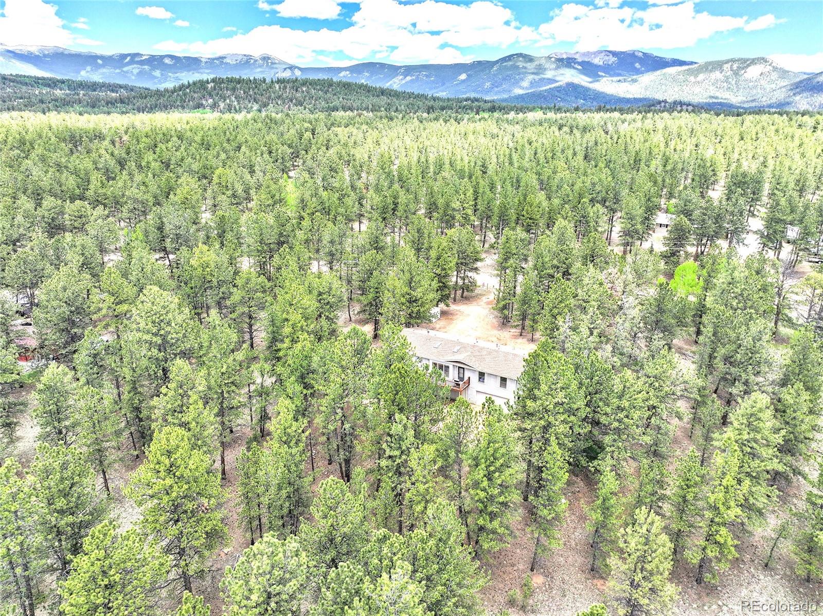 MLS Image #8 for 56  bounty hunter lane,bailey, Colorado
