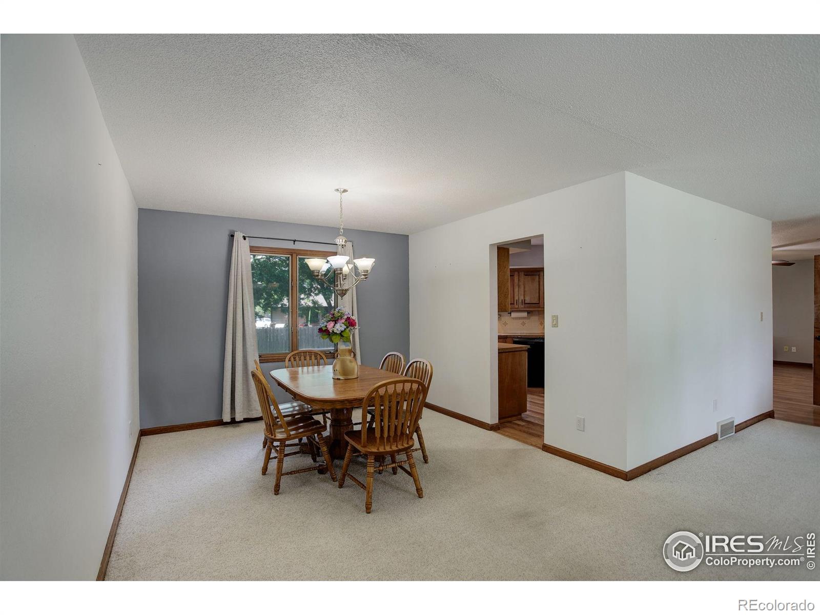 MLS Image #12 for 507  chestnut street,windsor, Colorado