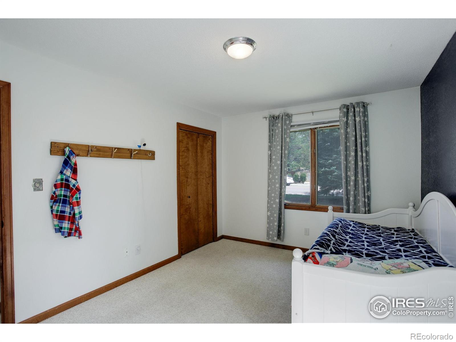 MLS Image #20 for 507  chestnut street,windsor, Colorado