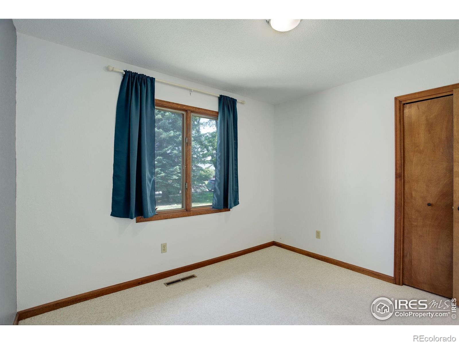 MLS Image #21 for 507  chestnut street,windsor, Colorado