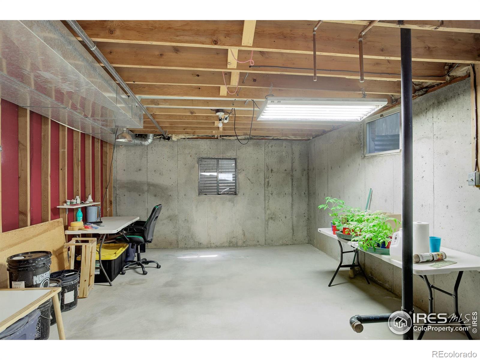 MLS Image #25 for 507  chestnut street,windsor, Colorado