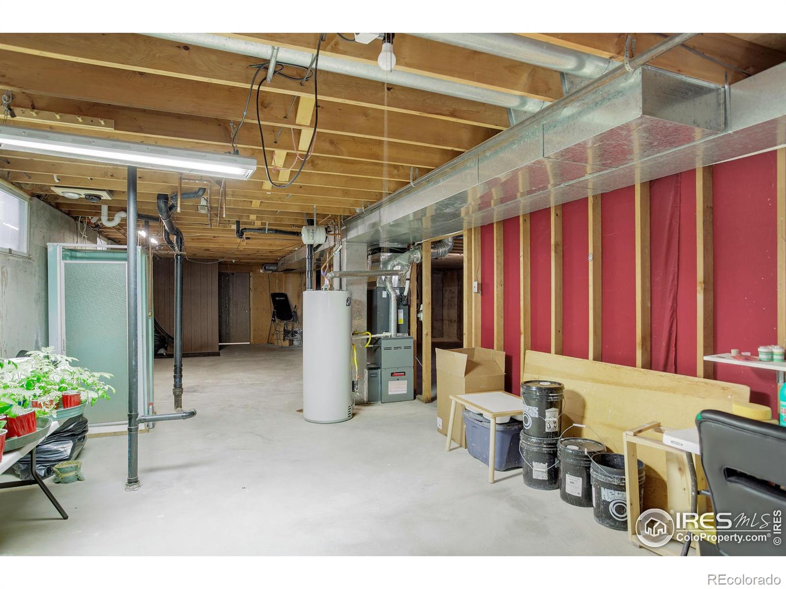 MLS Image #26 for 507  chestnut street,windsor, Colorado