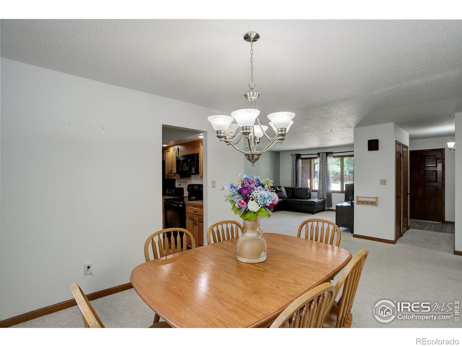 MLS Image #4 for 507  chestnut street,windsor, Colorado