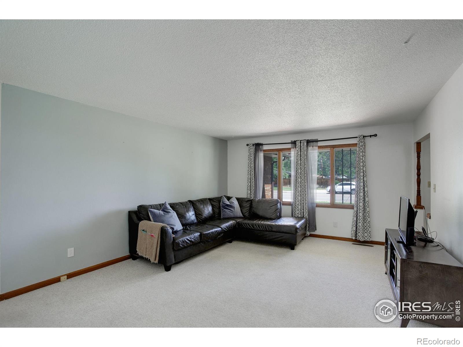 MLS Image #5 for 507  chestnut street,windsor, Colorado