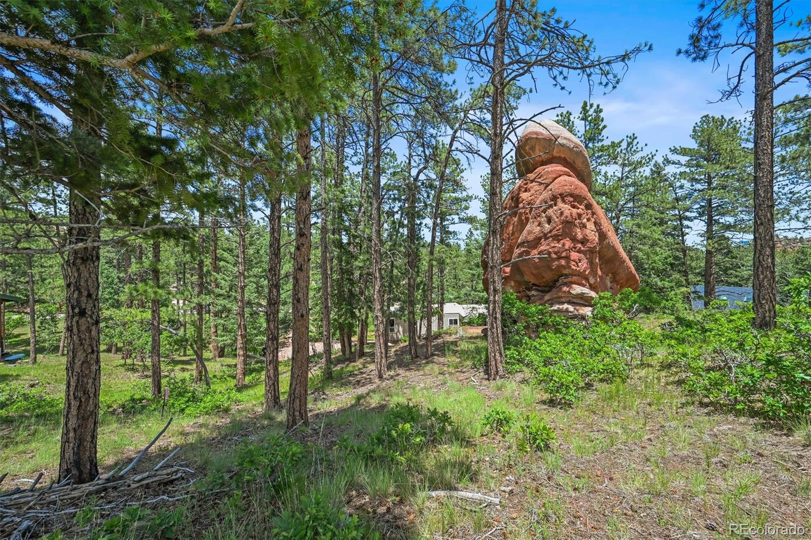 MLS Image #5 for 6100  apache drive,larkspur, Colorado