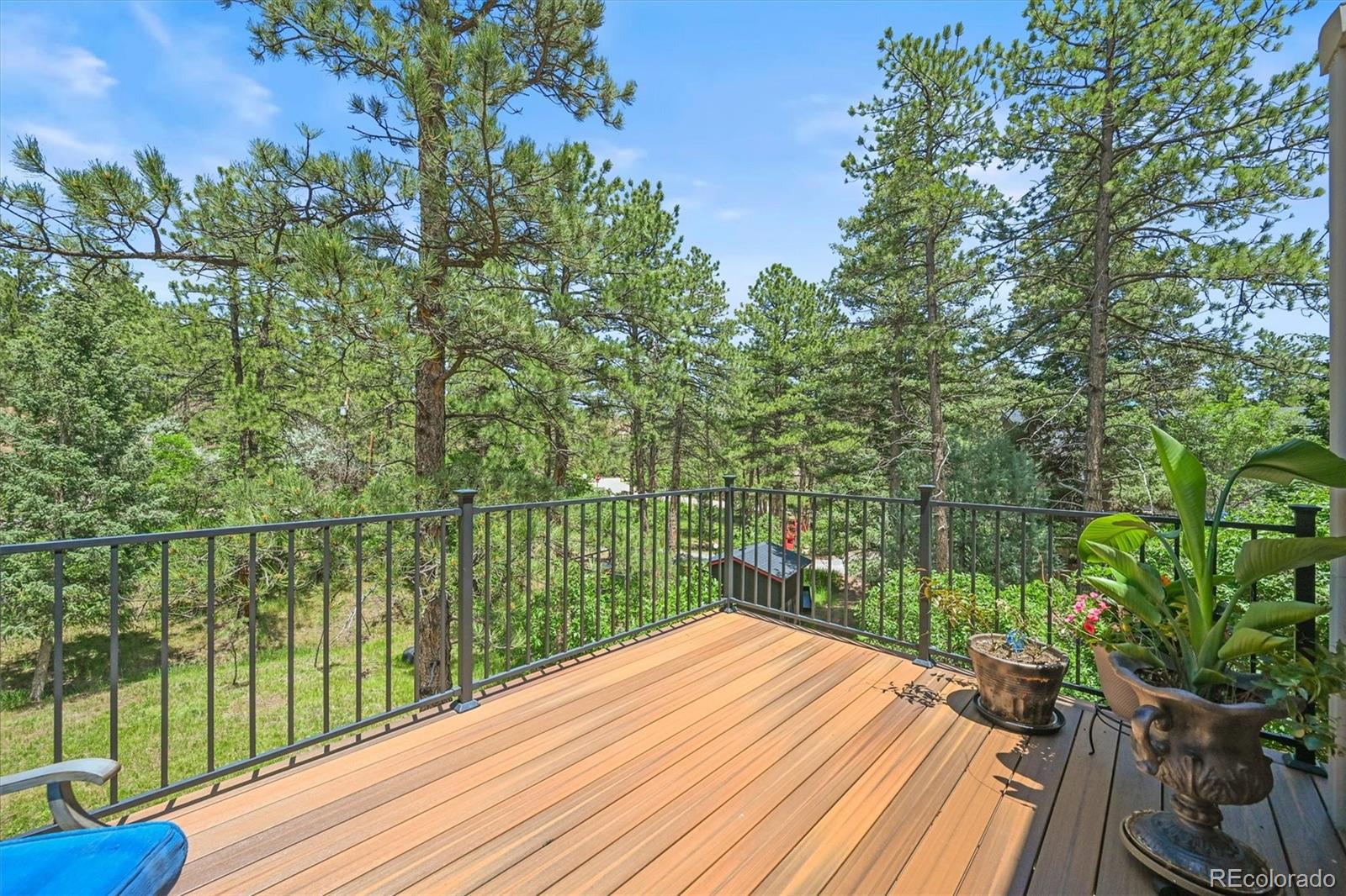 MLS Image #6 for 6100  apache drive,larkspur, Colorado
