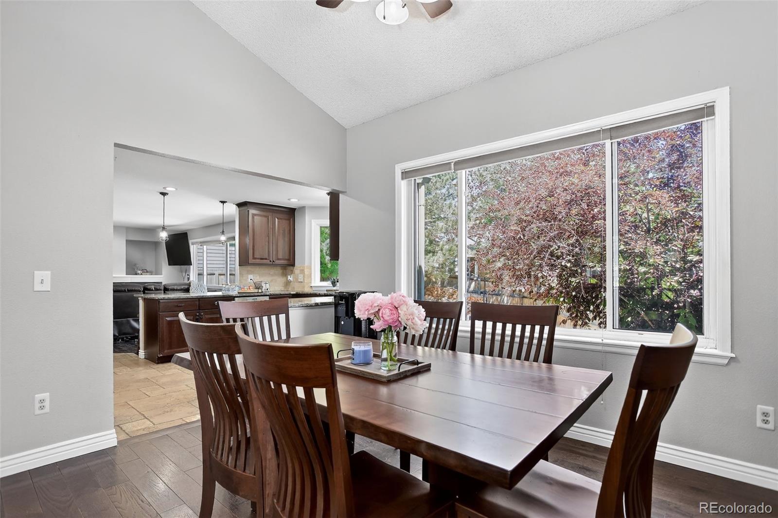 MLS Image #11 for 10343  stoneflower drive,parker, Colorado