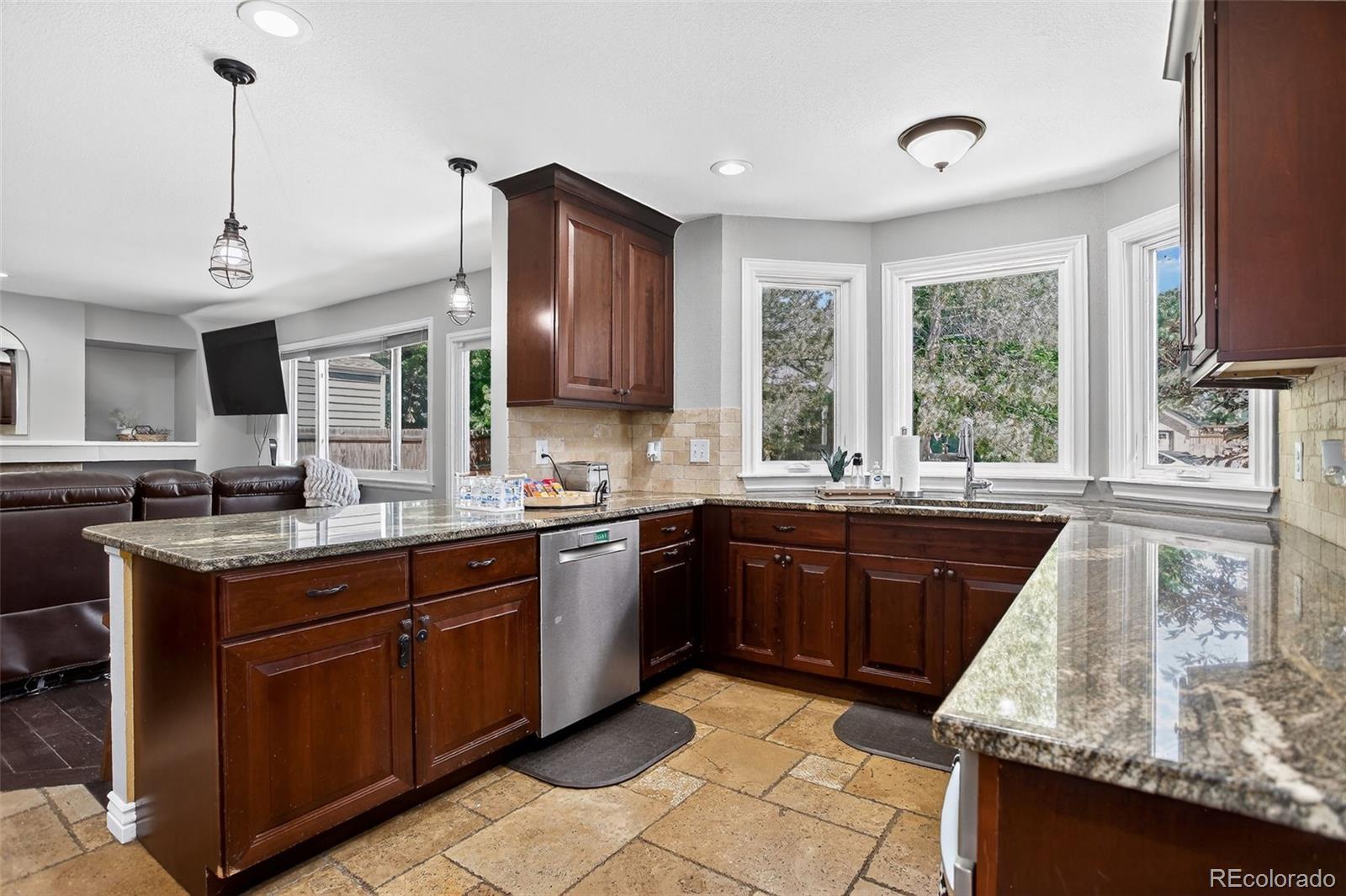 MLS Image #15 for 10343  stoneflower drive,parker, Colorado