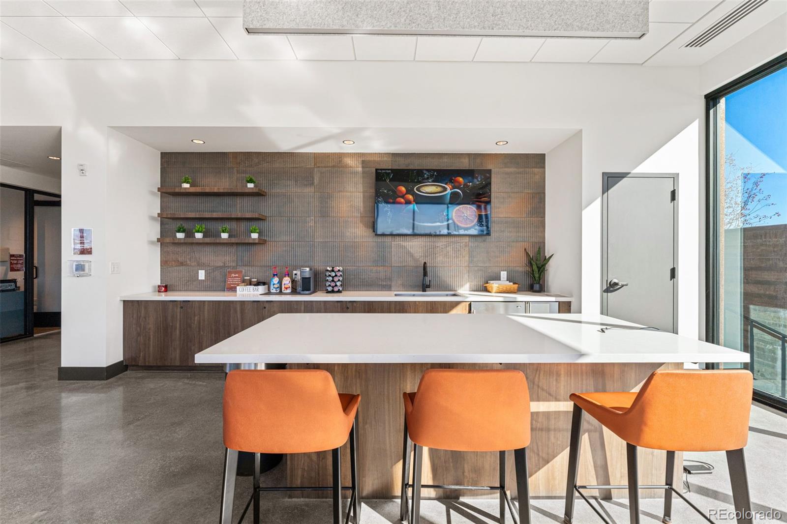 MLS Image #10 for 4285  ridgewalk point,castle rock, Colorado