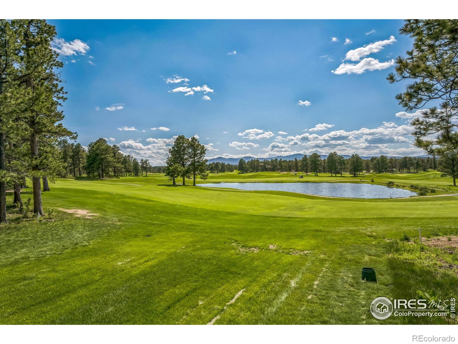 MLS Image #2 for 2415  fox acres drive,red feather lakes, Colorado