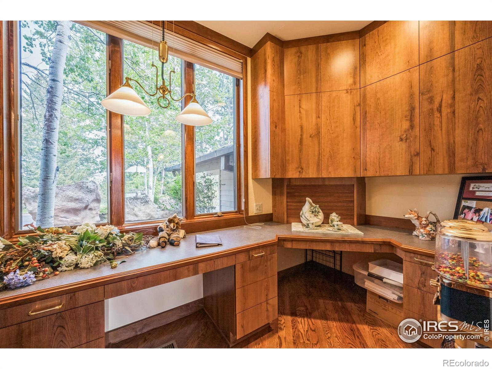 MLS Image #23 for 2415  fox acres drive,red feather lakes, Colorado