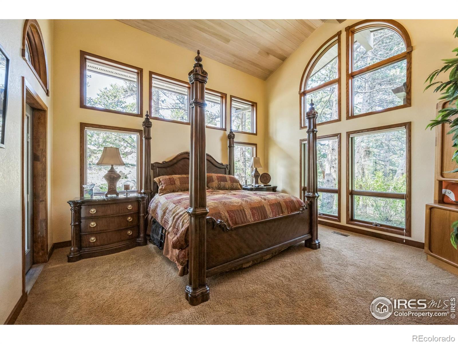 MLS Image #24 for 2415  fox acres drive,red feather lakes, Colorado