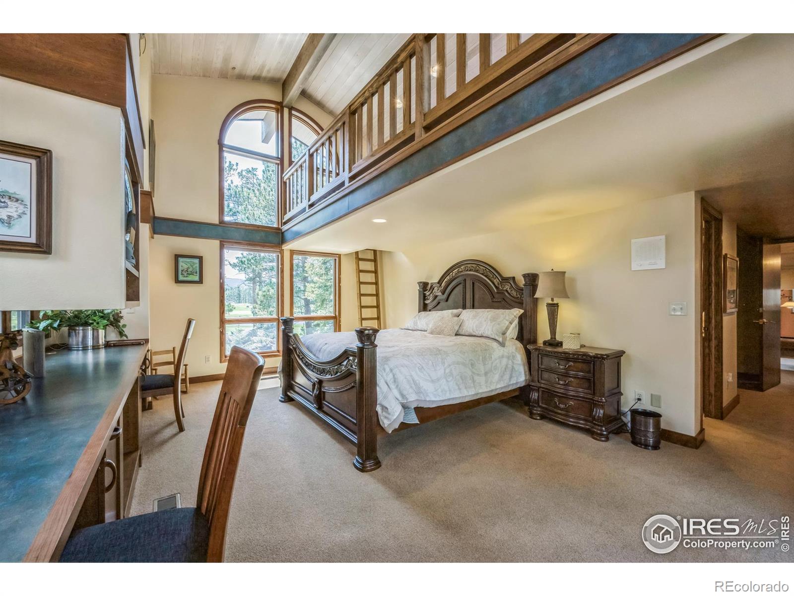 MLS Image #31 for 2415  fox acres drive,red feather lakes, Colorado