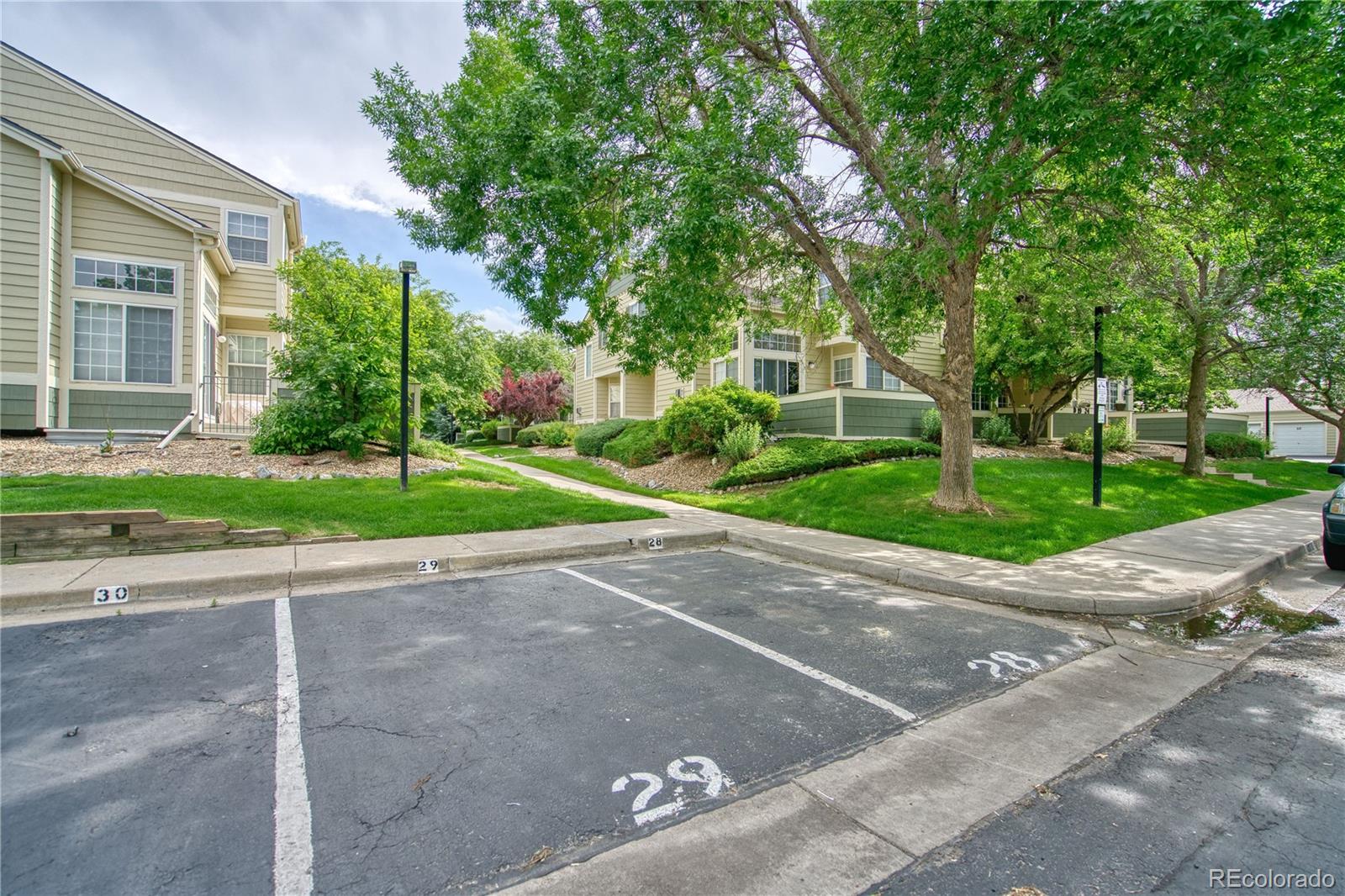 MLS Image #27 for 930  button rock drive,longmont, Colorado