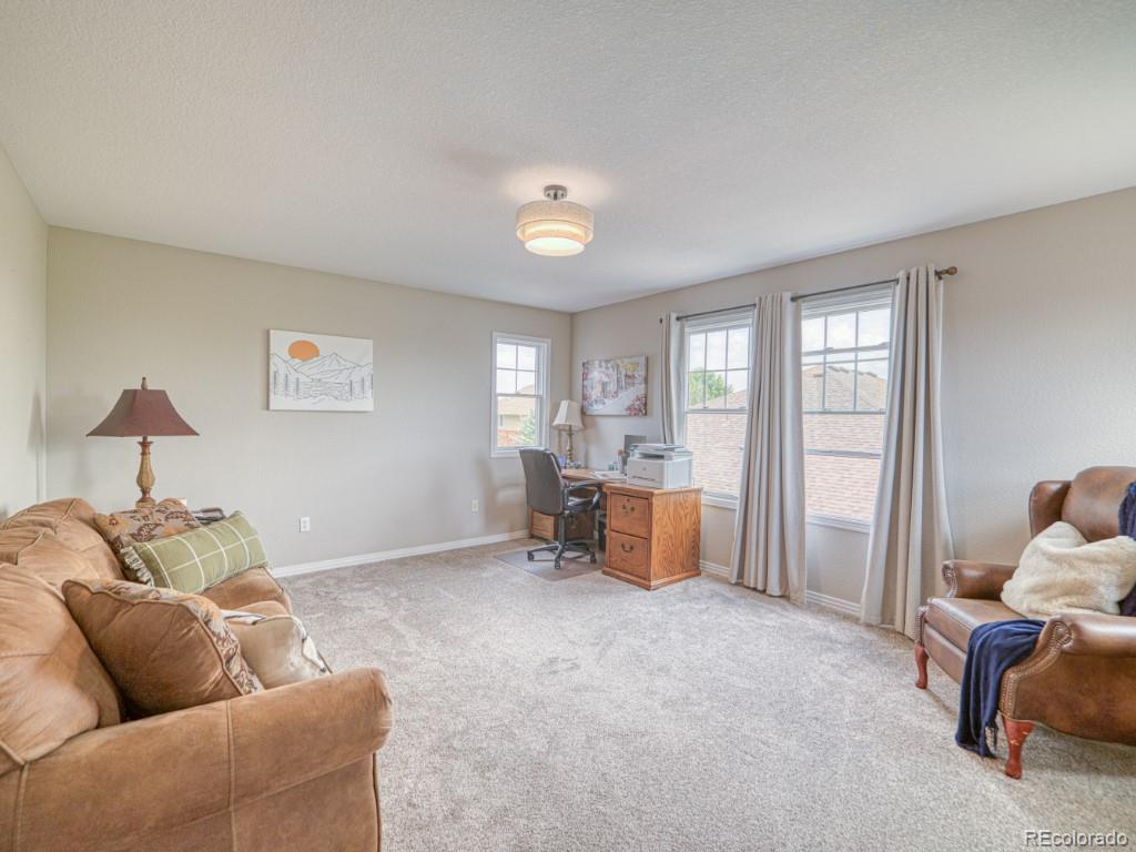 MLS Image #24 for 6763 s robb court,littleton, Colorado