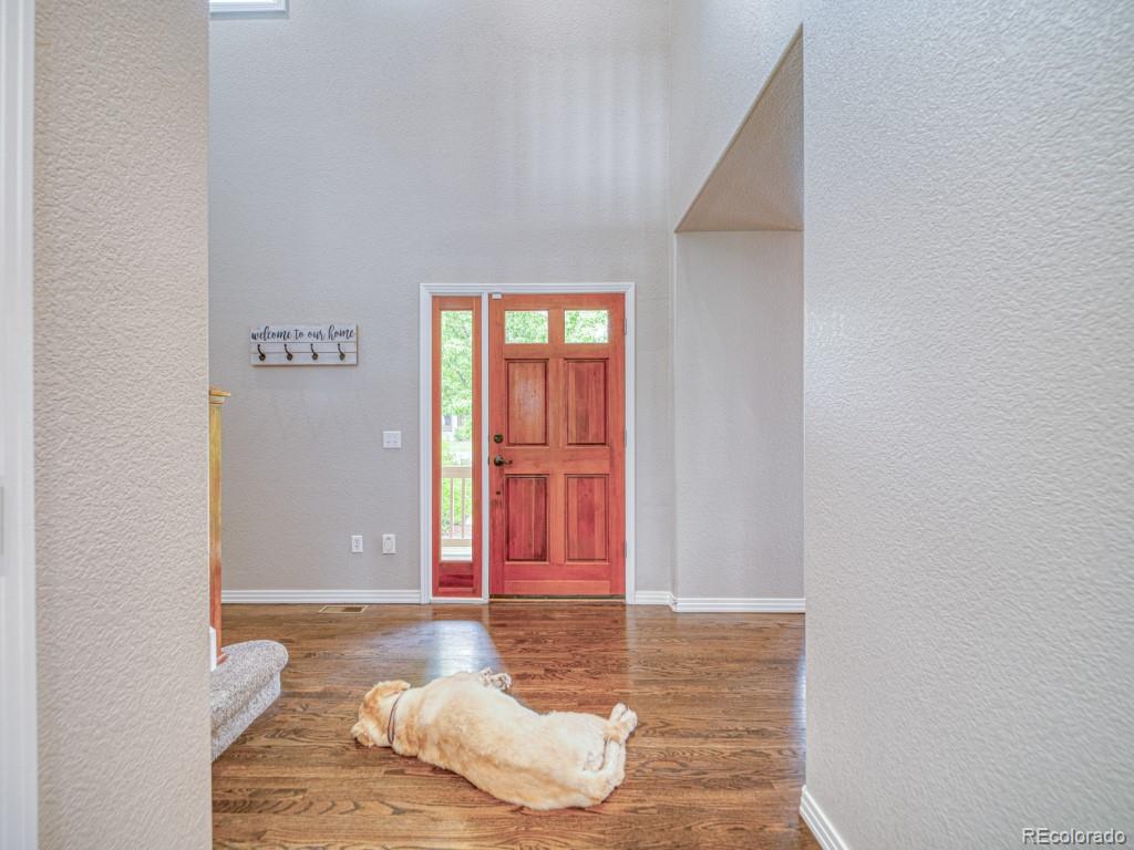 MLS Image #4 for 6763 s robb court,littleton, Colorado