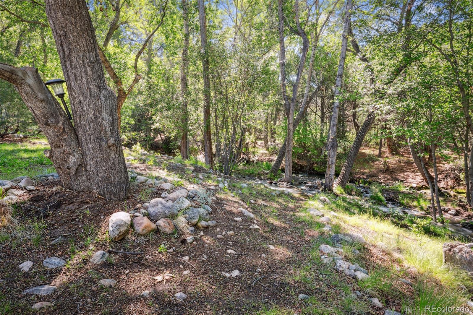 MLS Image #6 for 3866  jubilant terrace,crestone, Colorado