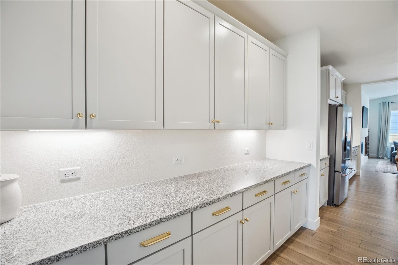 MLS Image #10 for 14423  shasta daisy lane,parker, Colorado