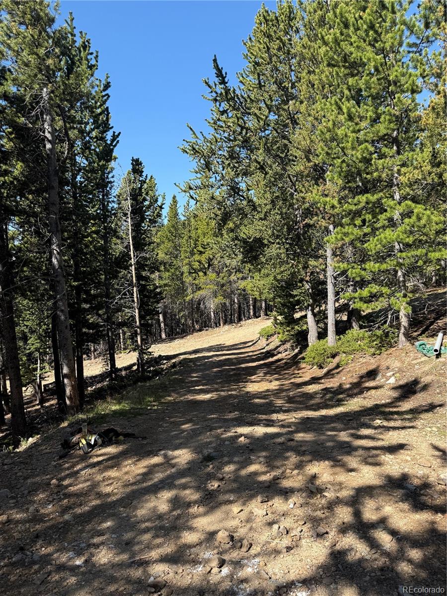 MLS Image #38 for 274  lincoln drive,idaho springs, Colorado