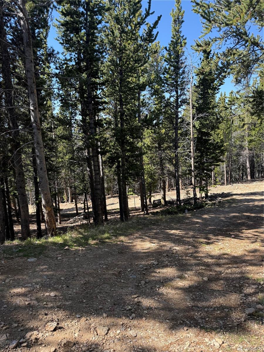 MLS Image #39 for 274  lincoln drive,idaho springs, Colorado
