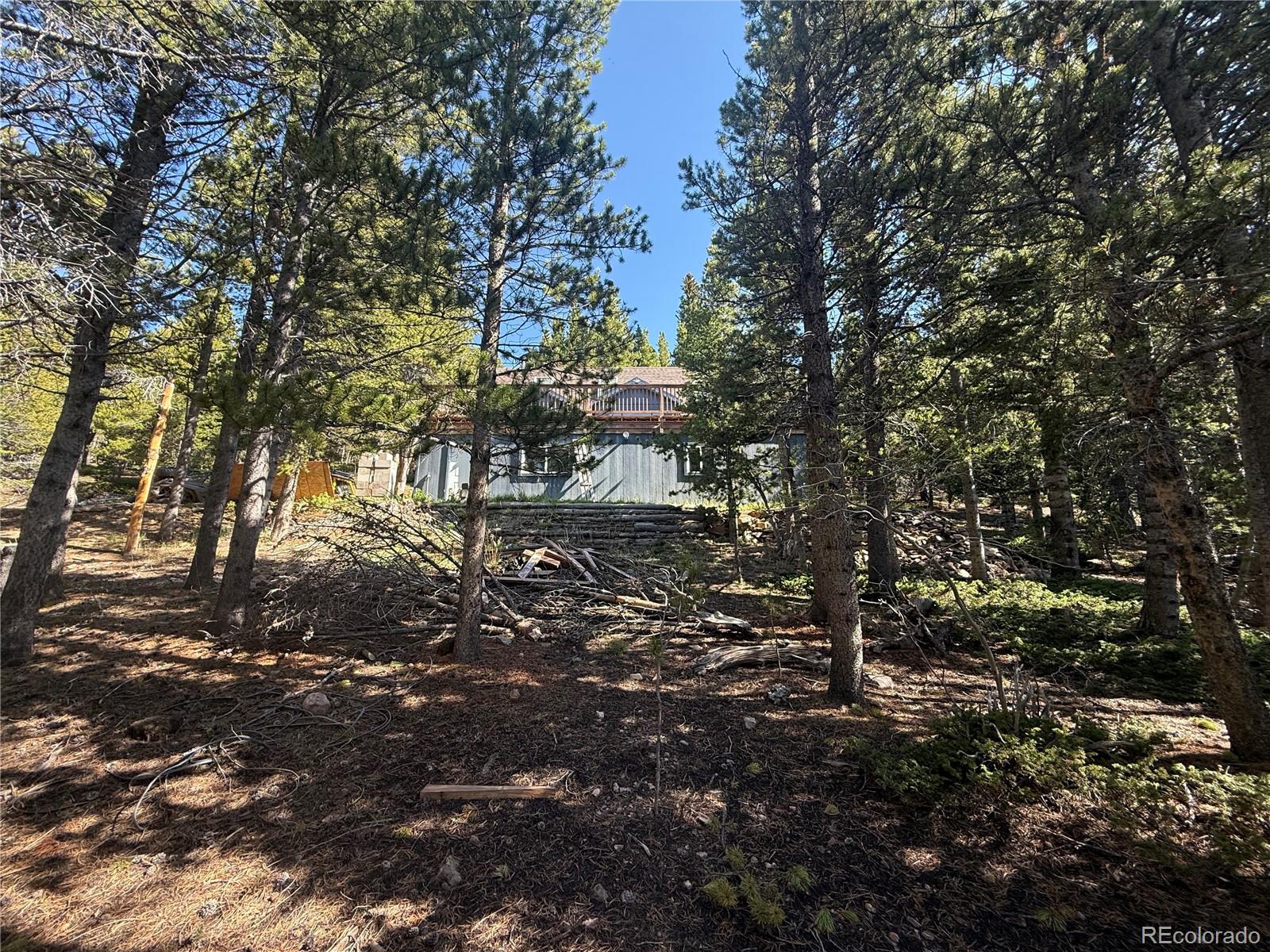 MLS Image #41 for 274  lincoln drive,idaho springs, Colorado