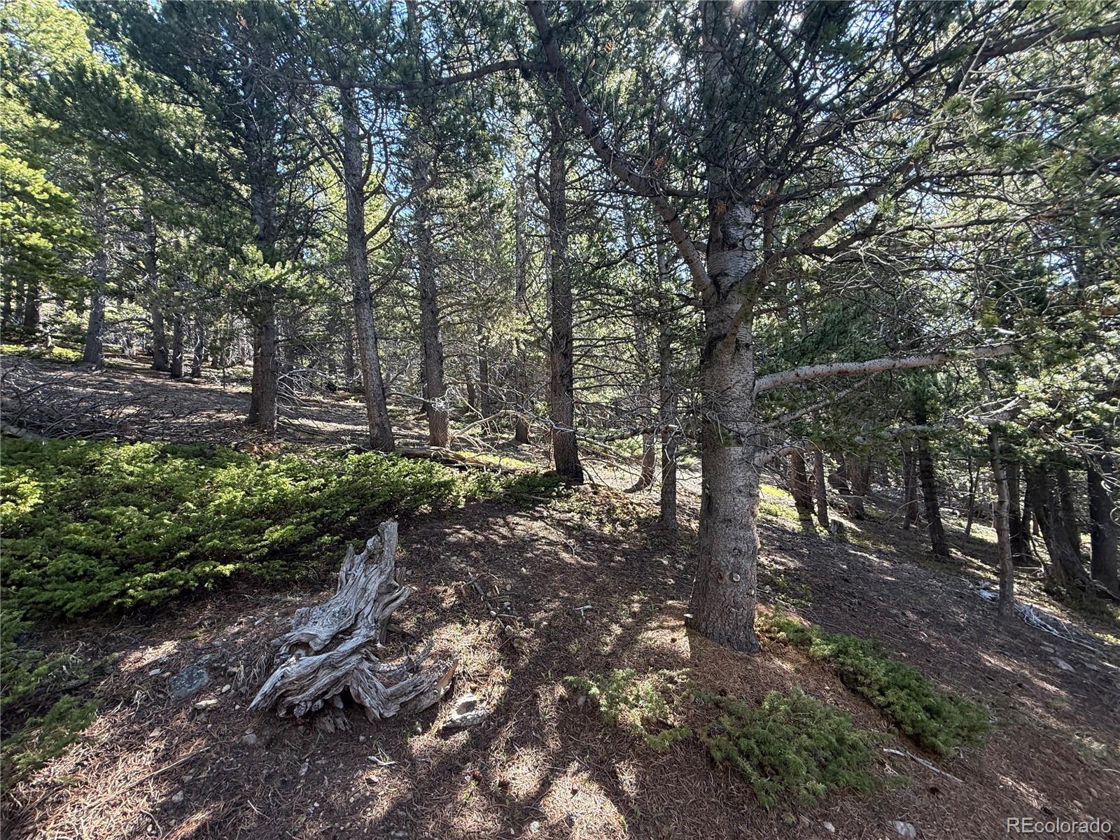 MLS Image #44 for 274  lincoln drive,idaho springs, Colorado
