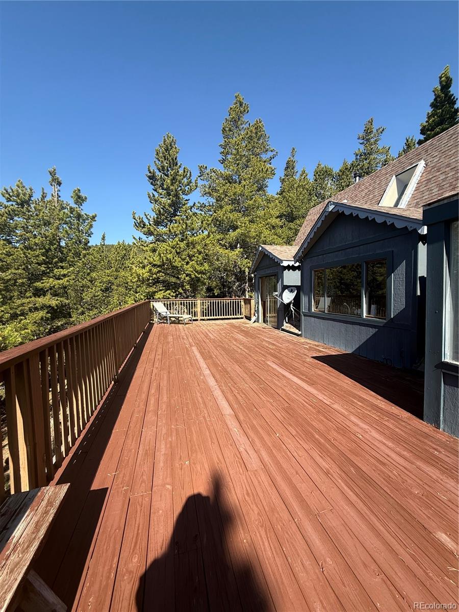 MLS Image #5 for 274  lincoln drive,idaho springs, Colorado