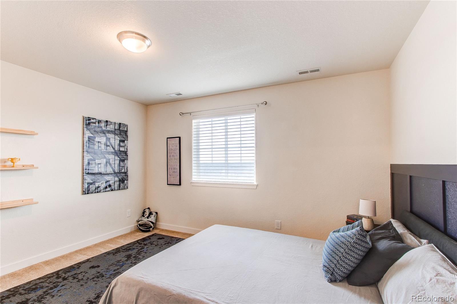MLS Image #26 for 8107  arapahoe peak street,littleton, Colorado