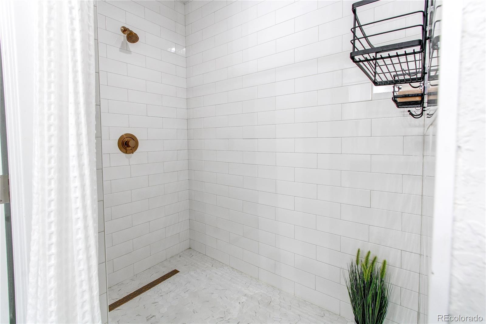 MLS Image #33 for 8107  arapahoe peak street,littleton, Colorado