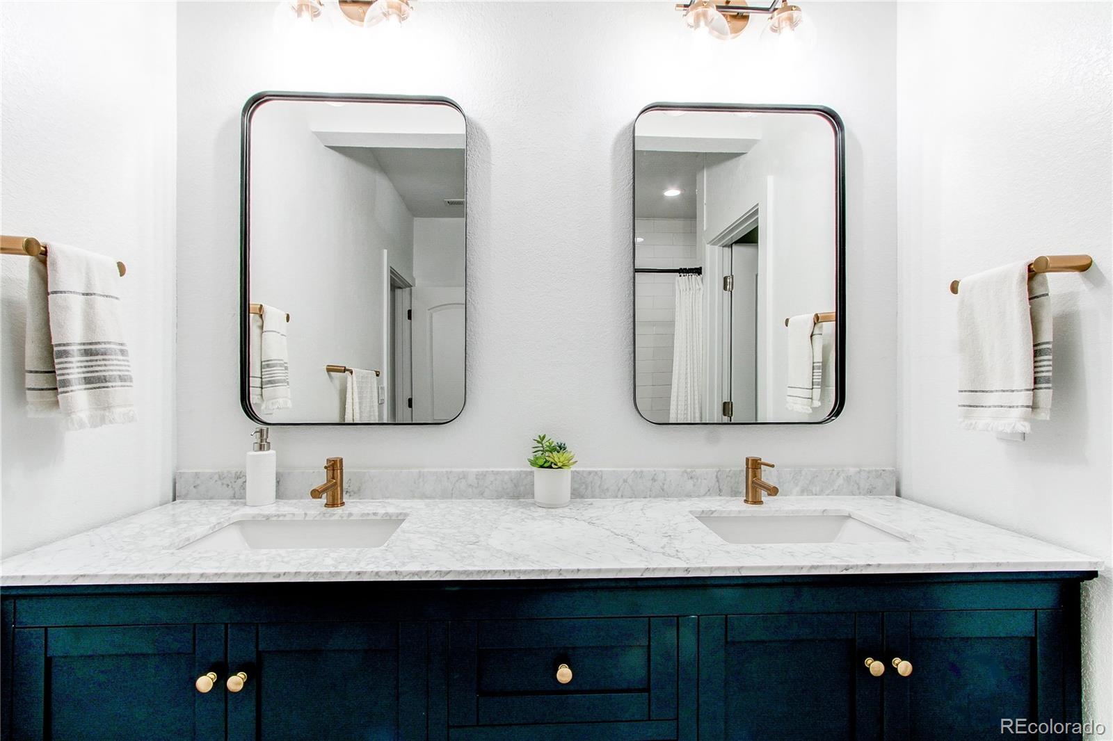 MLS Image #34 for 8107  arapahoe peak street,littleton, Colorado