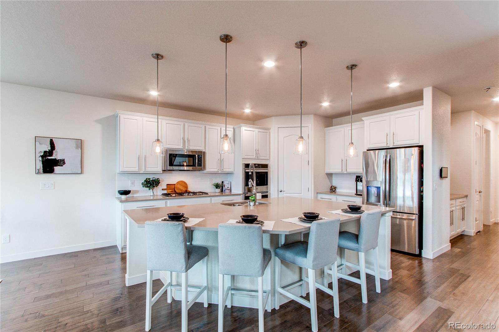 MLS Image #7 for 8107  arapahoe peak street,littleton, Colorado