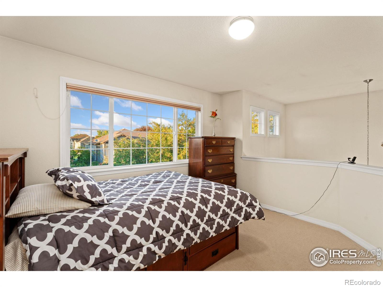 MLS Image #21 for 8383  castaway drive,windsor, Colorado