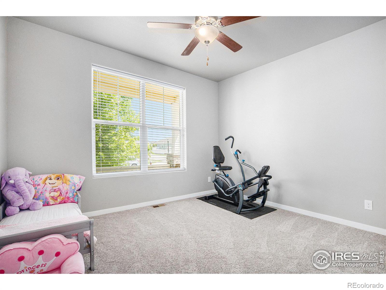 MLS Image #6 for 973  mt andrew drive,severance, Colorado