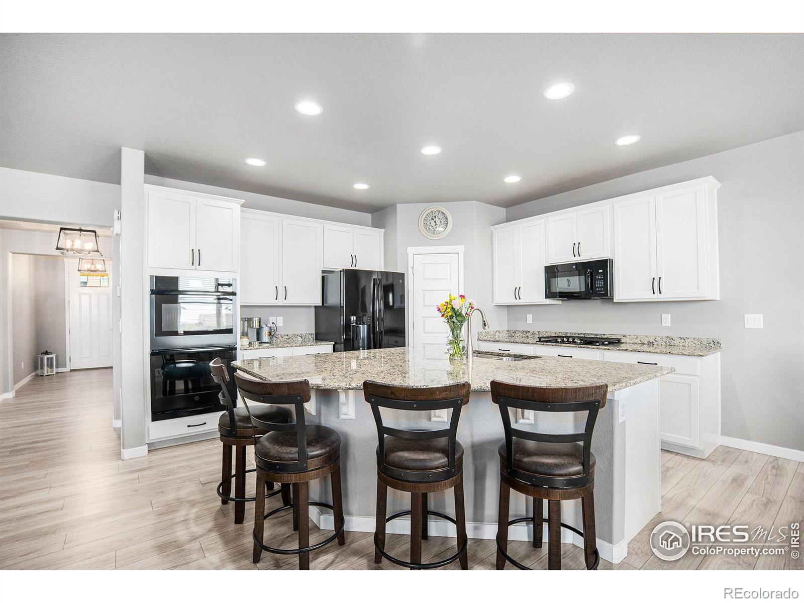 MLS Image #7 for 973  mt andrew drive,severance, Colorado