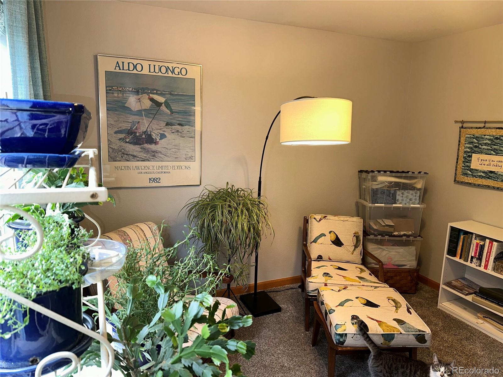MLS Image #16 for 205  timber ridge court,severance, Colorado