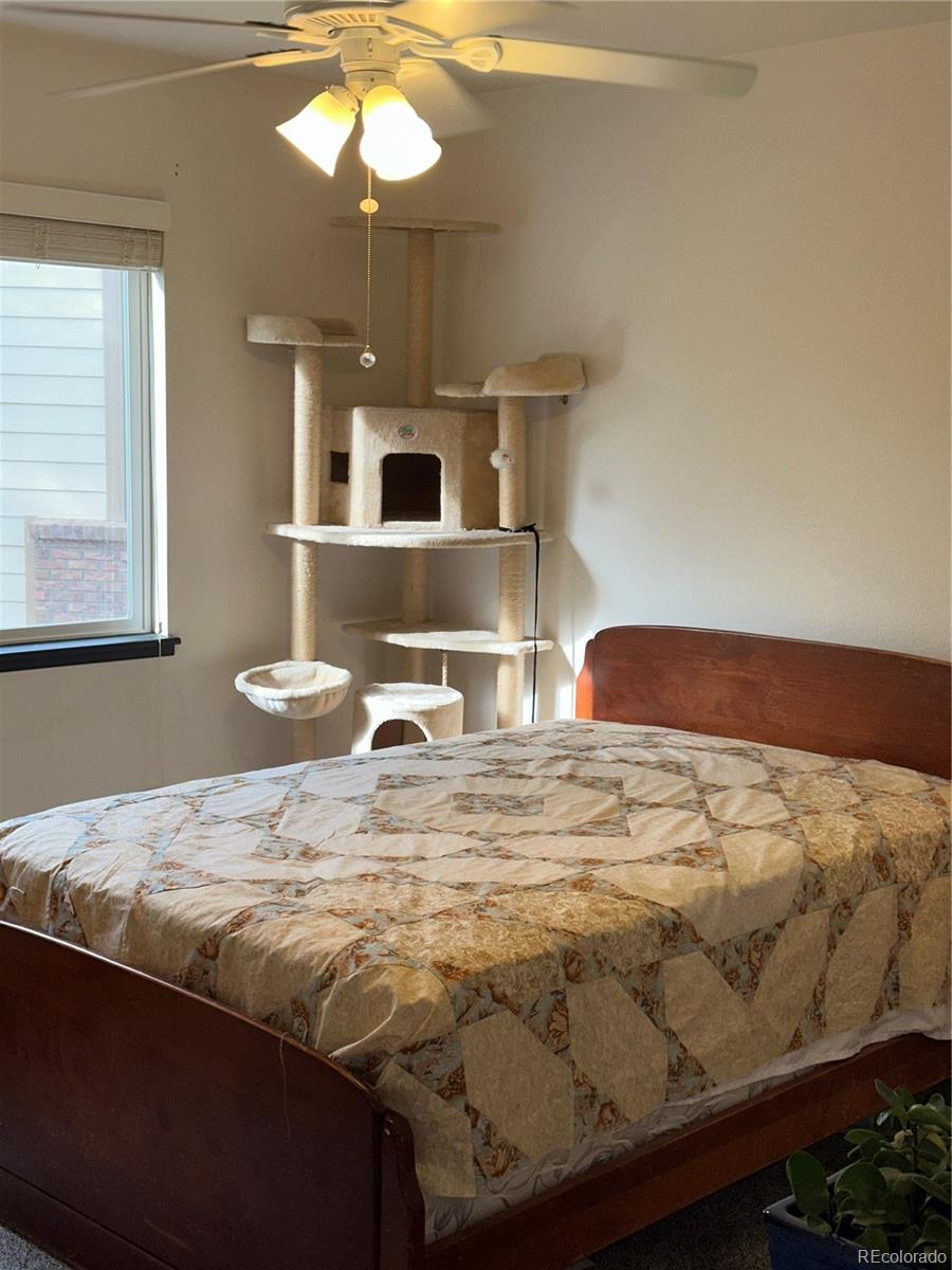 MLS Image #20 for 205  timber ridge court,severance, Colorado