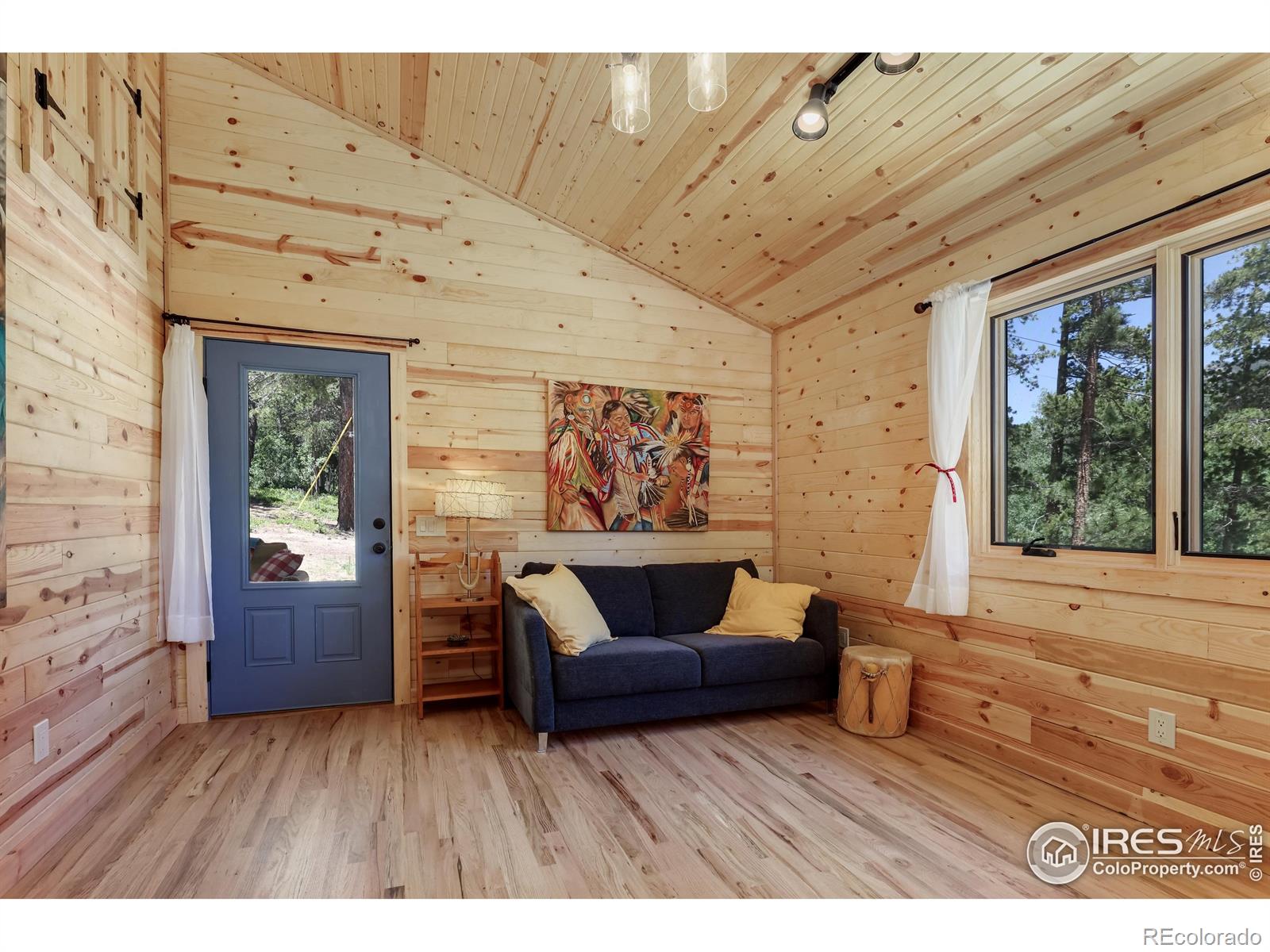 MLS Image #10 for 256  fisk fenner road,allenspark, Colorado