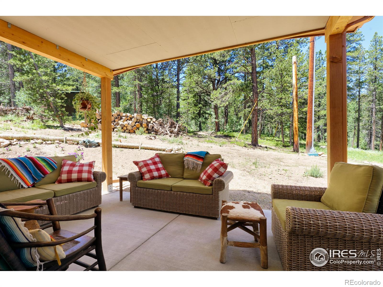 MLS Image #15 for 256  fisk fenner road,allenspark, Colorado