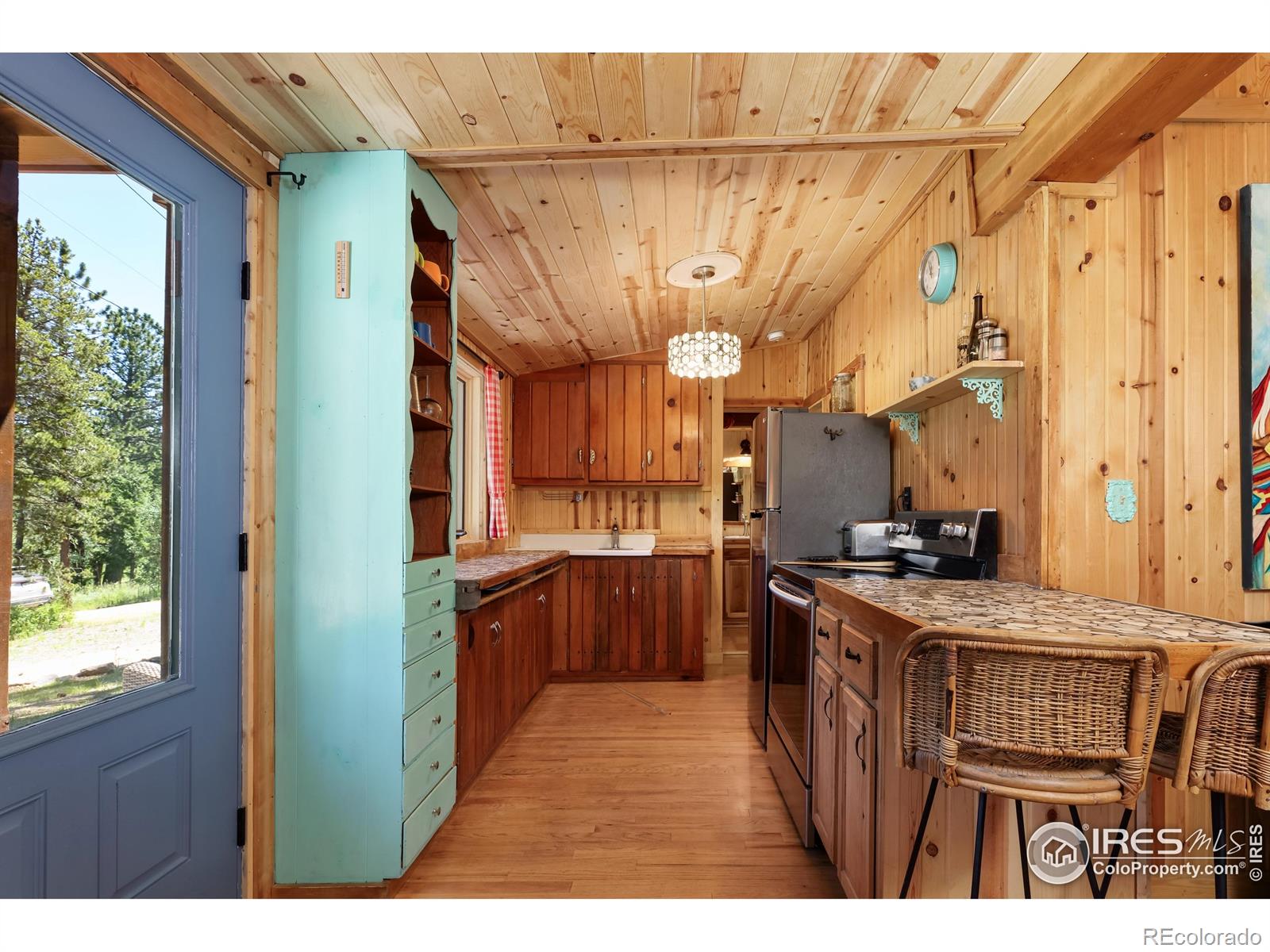MLS Image #19 for 256  fisk fenner road,allenspark, Colorado