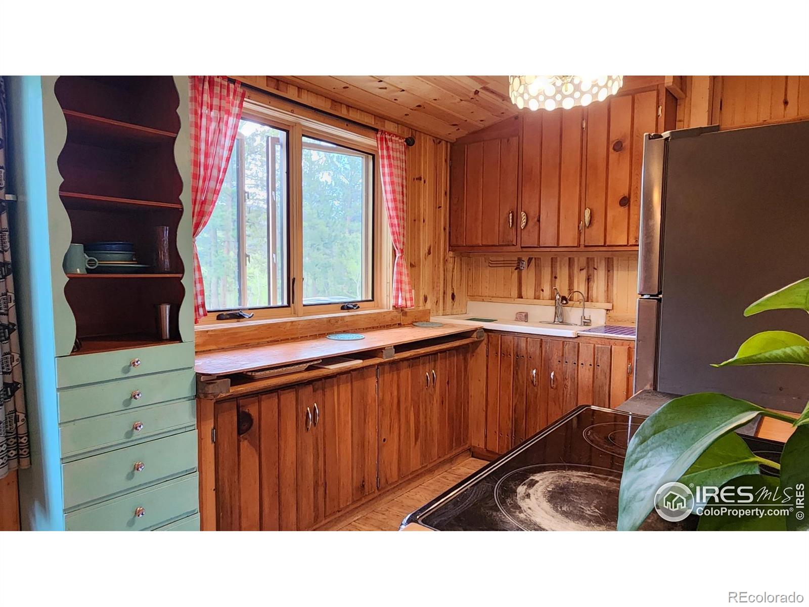 MLS Image #20 for 256  fisk fenner road,allenspark, Colorado
