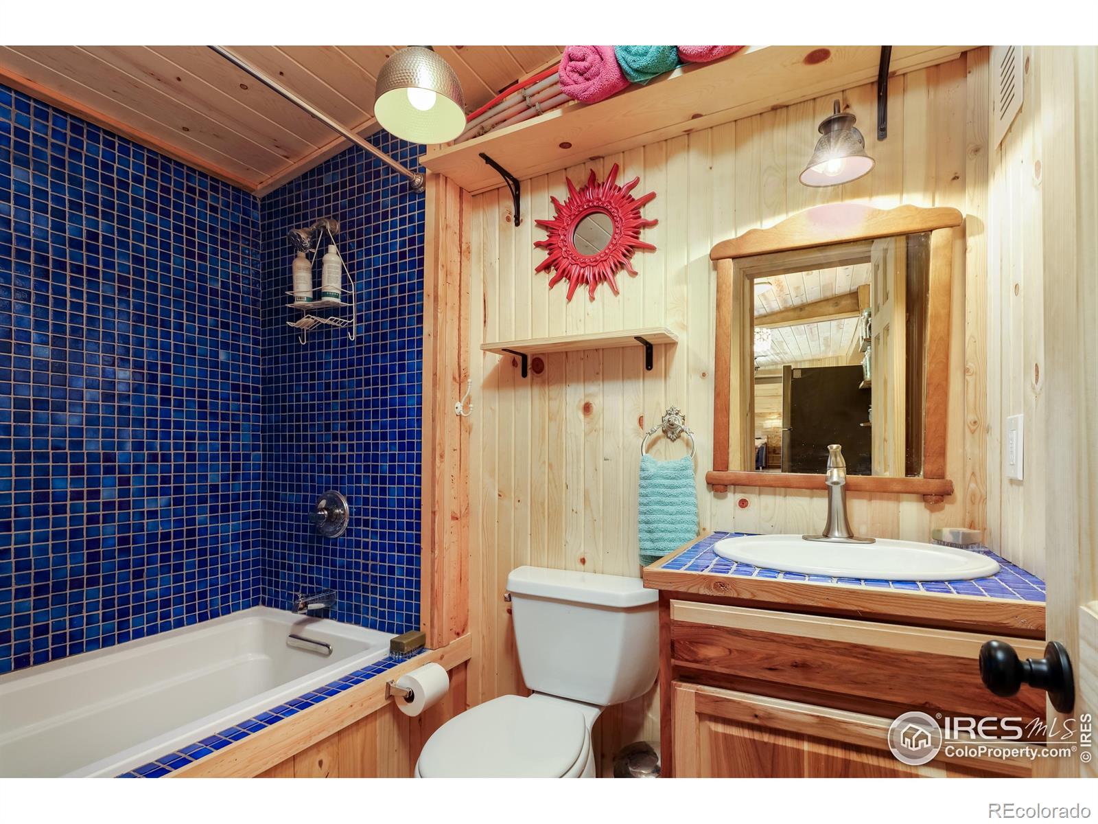 MLS Image #22 for 256  fisk fenner road,allenspark, Colorado