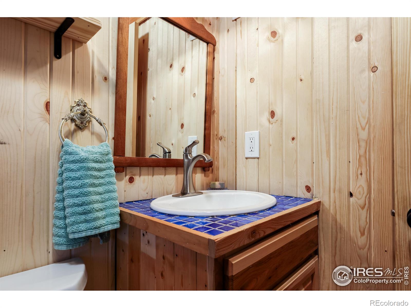 MLS Image #23 for 256  fisk fenner road,allenspark, Colorado