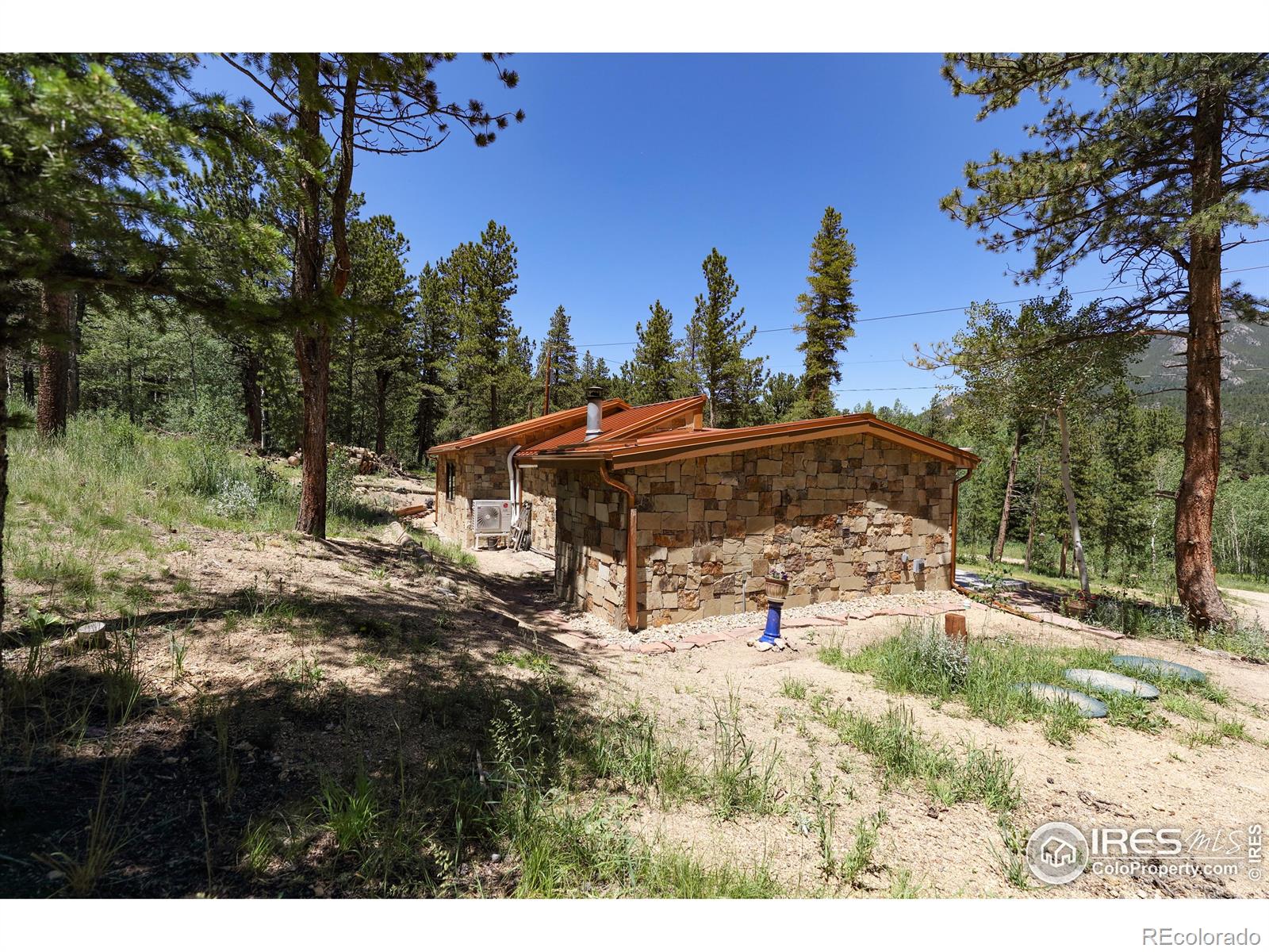 MLS Image #27 for 256  fisk fenner road,allenspark, Colorado